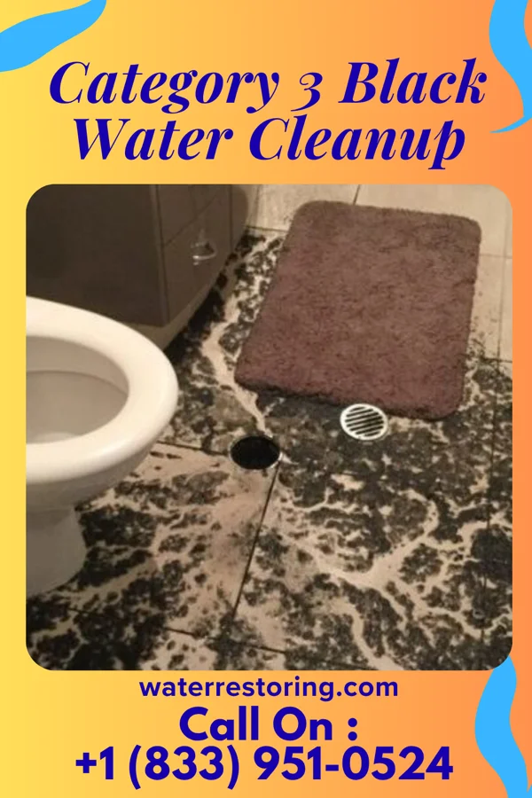 Category 3 Black Water Cleanup in Syracuse, IN