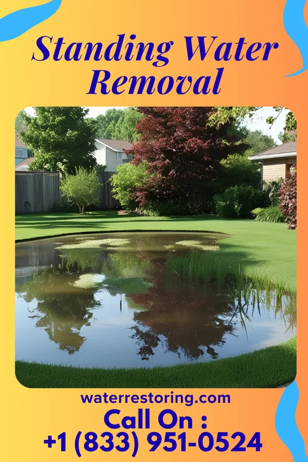 Standing Water Removal in Syracuse, IN